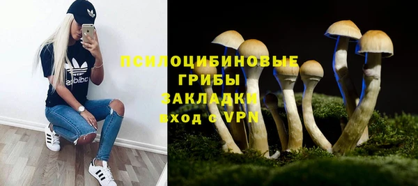 тгк Медвежьегорск