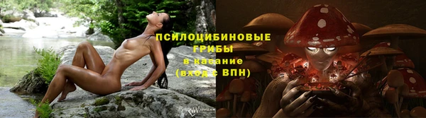 бутират Мегион