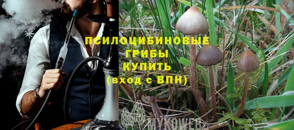 бутират Мегион