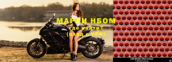 тгк Медвежьегорск