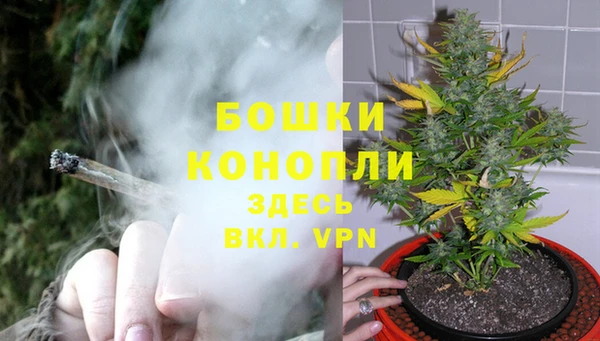 ALPHA PVP Кинешма